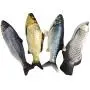 11'' Electric Moving Fish Cat Toy Realistic Flopping Catnip Kicker Toy Plush Simulation Wagging Fish Wiggle Interactive Cat Toy Pets Chew Bite Supplies with Motion Sensor, USB Charged, Catnip Pouches