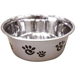 Ethical Pet Barcelona Matte and Stainless Steel Pet Dish, 32-Ounce, Silver