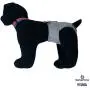 Barkertime Dog Diaper Suspender - Red and Blue Stripes Adjustable Suspender to Keep Dog Diapers On