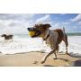 Waboba Fetch Water Ball for Dogs