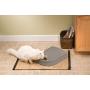 PetSafe 5-Meal Pet Feeder, 15.5 in