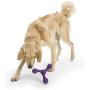 West Paw Zogoflex Echo Zwig Squeezy Dog Fetching Stick (13.75”, Melon) & Zogoflex Air Skamp Tug-of-War Stick Dog Chew Toy (Eggplant) – Interactive Toy for Dogs, Puppies – for Catch, Carry, Fetch