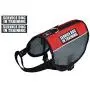 Service Dog in Training mesh Vest Harness Cool Comfort. Purchase Comes with 2 Reflective Service Dog in Training Removable Patches. Please Measure Your Dog Before Ordering Service Dog in Training mesh Vest Harness Cool Comfort. Purchase Comes with 2 Reflective Service Dog in Training Removable Patches. Please Measure Your Dog Before Ordering