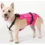 Dog Diaper Wrap SMALL (LONG) BLUE Dog Diaper Wrap SMALL (LONG) BLUE