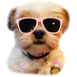 Style Vault G014 Dog Cat Pet 80s Sunglasses Goggles for Small Breeds up to 15lbs