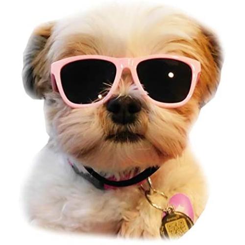 Style Vault G014 Dog Cat Pet 80s Sunglasses Goggles for Small Breeds up to 15lbs