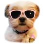 Style Vault G014 Dog Cat Pet 80s Sunglasses Goggles for Small Breeds up to 15lbs