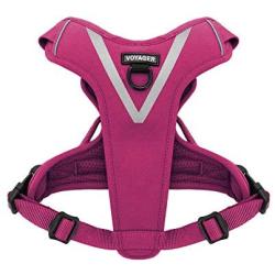 Maverick Dual Attachment Outdoor Dog Harness by Voyager | NO-Pull Pet Walking Vest Harness
