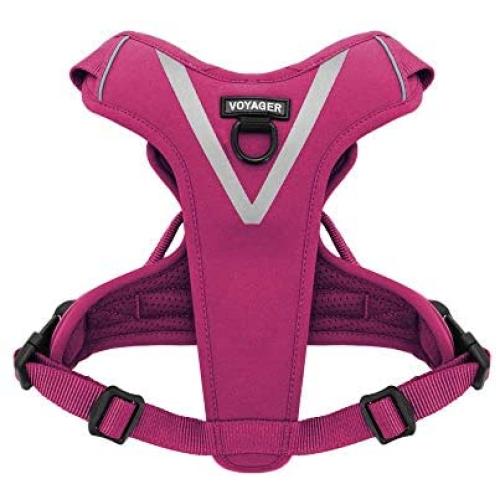 Maverick Dual Attachment Outdoor Dog Harness by Voyager | NO-Pull Pet Walking Vest Harness