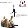 Pet Fit For Life Feather Teaser and Exerciser for Cat and Kitten - Cat Toy Interactive Cat Wand