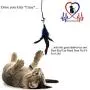 Pet Fit For Life Feather Teaser and Exerciser for Cat and Kitten - Cat Toy Interactive Cat Wand Pet Fit For Life Feather Teaser and Exerciser for Cat and Kitten - Cat Toy Interactive Cat Wand
