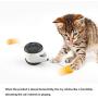 SUDUN Cat Toy Chaser, Creative Tumbler Cat Chasing Toy with Catnip Ball 360 Degree Rotation Ball Cat Training Toy Interactive Cat Swing Toy Suitable for Indoor Cat Educational Toys