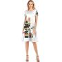 Group of Dog Hair Fallen After groomind and Comb,Fashion Women Slim Party Dress Put on Black Board S