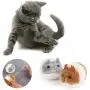 LINGJIA pet Toy 2pcs/Set New Cute Cat Toy Plush Fur Toy Shake Movement Mouse Pet Kitten Funny Rat Little Interactive Bite Toys LINGJIA pet Toy 2pcs/Set New Cute Cat Toy Plush Fur Toy Shake Movement Mouse Pet Kitten Funny Rat Little Interactive Bite Toys