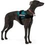 Dihapet No Pull Dog Harness, Adjustable Service Dog Vest, Reflective Easy for Walking Training