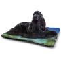 DayDayFun Traditional Cat Mat Old Fashioned Ottoman Arabesque Moroccan Star Antique Middle Motif Insulated Self-Heating Pet Mat Multicolor