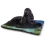 DayDayFun Traditional Cat Mat Old Fashioned Ottoman Arabesque Moroccan Star Antique Middle Motif Insulated Self-Heating Pet Mat Multicolor