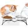 Jyipsonm Natural Ceramic Raised Double Cat Bowls Cute Pet Feeder Bowl Dishes Elevated Food and Water Bowls with Metal Raised Anti-Skid Stand