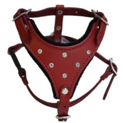 Leather Rhinestones Bling Dog Harness, X Small, Red, Argentinean Leather (Malibu) For X Small breeds. Neck: 6''-9.5''. Chest: 12''-14.5''