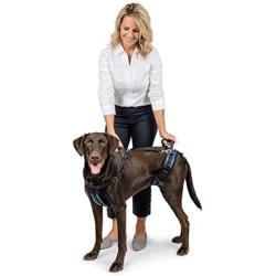 PetSafe PetSafe CareLift Support Harness - Full-Body Lifting aid with Handle - Great for pet Mobility and Older Dogs - Comfortable, Breathable Material - Easy to Adjust - Medium