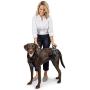 PetSafe PetSafe CareLift Support Harness - Full-Body Lifting aid with Handle - Great for pet Mobility and Older Dogs - Comfortable, Breathable Material - Easy to Adjust - Medium