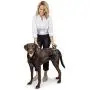 PetSafe PetSafe CareLift Support Harness - Full-Body Lifting aid with Handle - Great for pet Mobility and Older Dogs - Comfortable, Breathable Material - Easy to Adjust - Medium PetSafe PetSafe CareLift Support Harness - Full-Body Lifting aid with Handle - Great for pet Mobility and Older Dogs - Comfortable, Breathable Material - Easy to Adjust - Medium