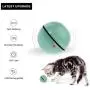 Mini Cat Toy Ball, Portable Automatic 360 ° Self-Rotating USB Rechargeable Cat Exercise Ball, with LED Light, for Indoor and Outdoor Use (1 Pcs, Green) Mini Cat Toy Ball, Portable Automatic 360 ° Self-Rotating USB Rechargeable Cat Exercise Ball, with LED Light, for Indoor and Outdoor Use (1 Pcs, Green)