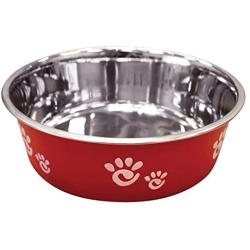 Ethical Pet Barcelona Matte and Stainless Steel Pet Dish, 64-Ounce, Raspberry