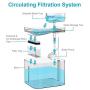 NPET Cat Water Fountain, 3L Automatic Pet Drinking Fountain Dog Water Dispenser with Quadruple-Action Filter (WF020 Transparent)