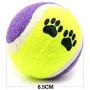 Pet Toy Vogue Tennis Balls Run Catch Throw Play Funny