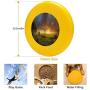 Pet Frisbee Flying Disc Dog Toy - Multifunction Infinite Oz Philip Straub