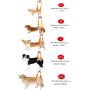 ZJWD Dog Lift Harness - Dog Lift Support Harness for Weak Rear Legs,Support and Rehab Harness, All Season Available,M