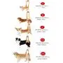 ZJWD Dog Lift Harness - Dog Lift Support Harness for Weak Rear Legs,Support and Rehab Harness, All Season Available,M