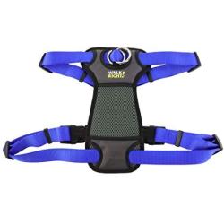 Coastal - Walk Right - Front-Connect Padded Dog Harness, Blue, MED (20''-30'')