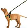 GEILHOPET Dog Harness and Leash Set