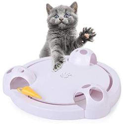Running Pet Cat Toy, Interactive Automatic Toy for Cat or Kitten, Adjustable Electronic Battery Operated Toy