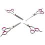 Pet Grooming Scissors Kit - Cat Dog Grooming Scissors - 5 PCS( For Trimming Body, Face, Ear, Nose, Paw) , Sharp Shears with Safety Rounded Tips for Small, Medium & Large Pets ( Include Grooming Comb )