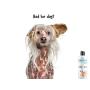Barkz Barkwash Conditioning Dog Shampoo | Pet Shampoo for Dogs | Soothes dry, itchy skin