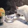 THMY Cat Bowl with Raised Stand, 15°Tilted Platform Cat Feeders Anti-Slip Transparent Cat Food and Water Bowl Detachable Pet Bowl for Cats and Small Dogs, Black
