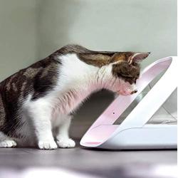 SureFeed Microchip Pet Feeder