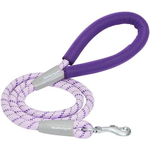 Blueberry Pet 8 Colors Durable Dog Rope Leash with Comfy Neoprene Handle