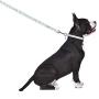 Jonathan Adler: Now House Mint Terrazzo Multi-Functional Leash, Stylish and Functional Way to Keep Your Dog Looking Great