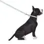 Jonathan Adler: Now House Mint Terrazzo Multi-Functional Leash, Stylish and Functional Way to Keep Your Dog Looking Great Jonathan Adler: Now House Mint Terrazzo Multi-Functional Leash, Stylish and Functional Way to Keep Your Dog Looking Great