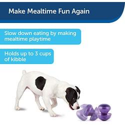 PetSafe Busy Buddy Magic Mushroom Dog Toy