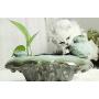 THMY Cat Water Fountains, Pet Drinking Fountain, Automatic Circulation Water Dispenser Ceramic Pet Water Fountain for Cat Dog, Quiet