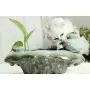 THMY Cat Water Fountains, Pet Drinking Fountain, Automatic Circulation Water Dispenser Ceramic Pet Water Fountain for Cat Dog, Quiet THMY Cat Water Fountains, Pet Drinking Fountain, Automatic Circulation Water Dispenser Ceramic Pet Water Fountain for Cat Dog, Quiet