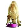 Omega Paw Dog Hog Large, 2.5 Pound