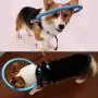 MOMU Blind Dog Harness, Blind Dog Harness Guide Device – Help for Blind Dogs or Visually Impaired Pets to Avoid Accidents & Build Confidence – Ideal Blind Dog Accessory to Navigate Surroundings MOMU Blind Dog Harness, Blind Dog Harness Guide Device – Help for Blind Dogs or Visually Impaired Pets to Avoid Accidents & Build Confidence – Ideal Blind Dog Accessory to Navigate Surroundings