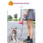 Pooper Scooper for Dogs，Pooper Scooper with Bag Pet for Small Medium Dogs Cats Outside Three Colors Optional Two in One Design (Blue)