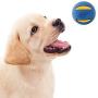 Nerf Dog Rubber Wrapped Tennis Ball